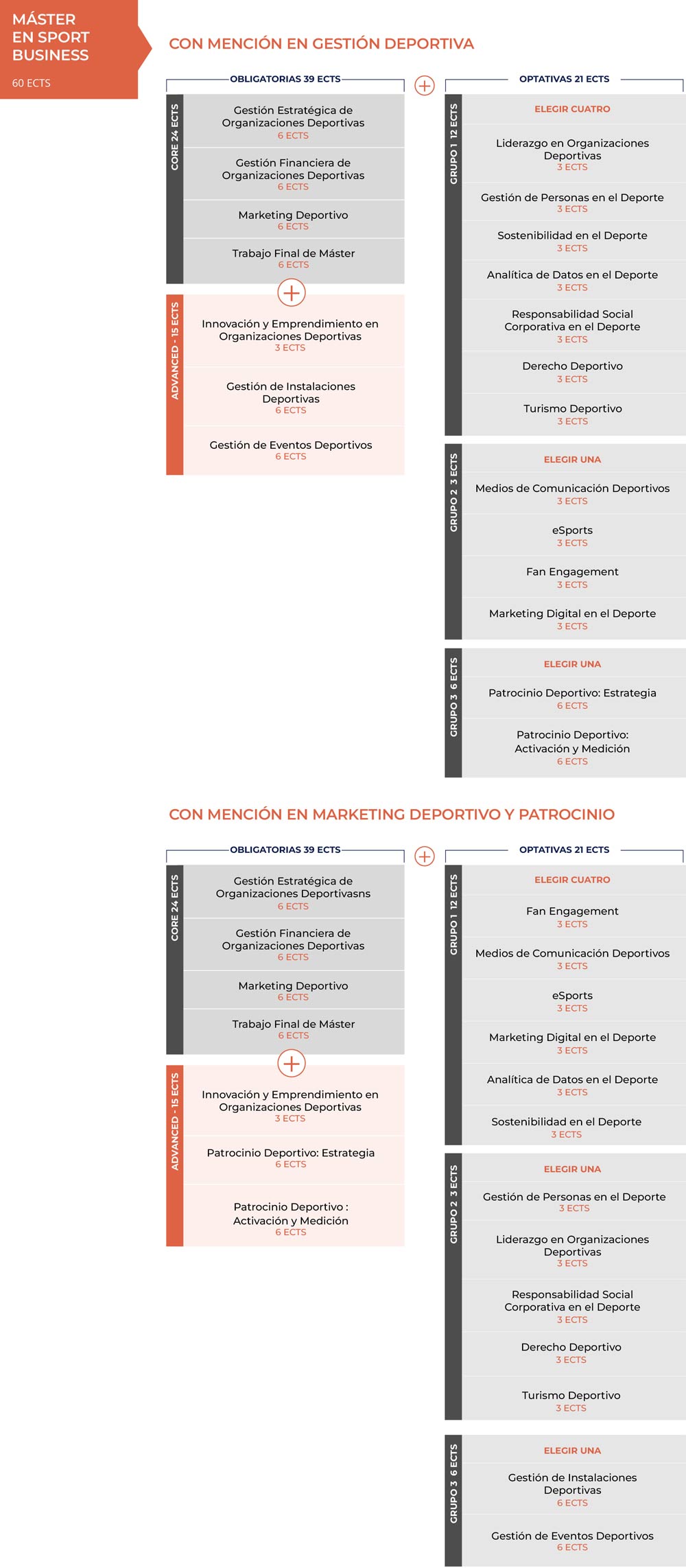 Itinerario académico del Máster en Sport Business Online