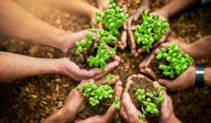 A salutogenic approach to wellbeing